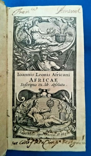 Leo africanus africae - leo,
